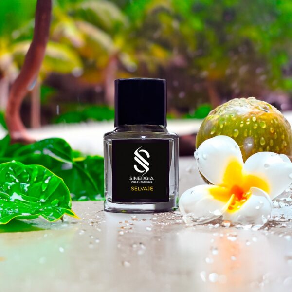 SINERGIA SELVAJE EXDP 60ML