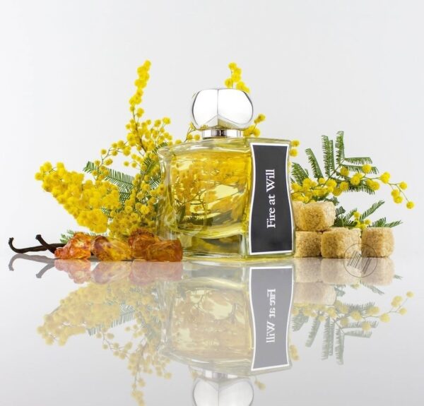 JOVOY FIRE AT WILL EDP 100ML