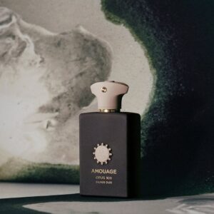 AMOUAGE OPUS XIII SILVER OUD 100ML