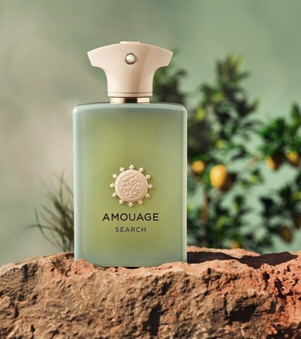 AMOUAGE SEARCH 100ML EDP